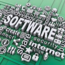 Web and Software Development